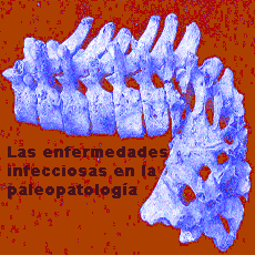 undefined ... Shift+R improves the quality of this image. CTRL+F5 reloads the whole page. undefined